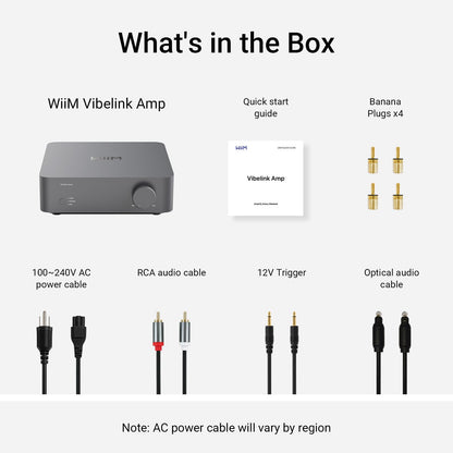 WiiM Vibelink Amp Stereo Amplifier for Passive Speaker Upgrade