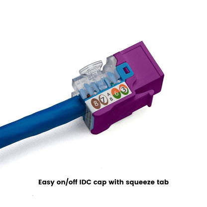 TRUE CABLE Cat6 Keystone Jack, Unshielded (UTP), 90 Degree Punch-Down, PoE++ (4PPoE) 100W, UL Listed, ETL Verified, ANSI/TIA Certified, Modular RJ45 Female, Purple, 12 Pack