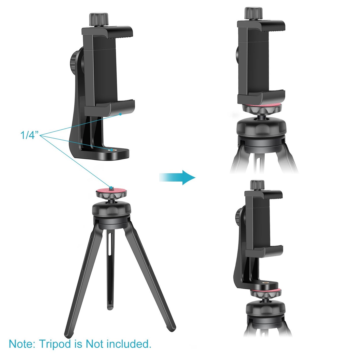 NEEWER Smartphone Holder Phone Tripod Mount Compatible with iPhone 16 15 Pro Max Plus 14 13 12 Mini Samsung Galaxy S24 S23 Ultra, Cell Phone Clip Vertical Bracket Adapter for Tripod with 1/4" Screw