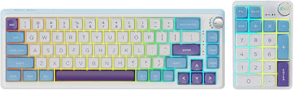 K68 Pro Gaming Keyboard, Layout Compact Wireless Mechanical Keyboard, Gasket Hot Swappable Custom BT 5.0/2.4G/USB-C Office Keyboard for Windows Mac (Blue-White, Moment Linear Switch)