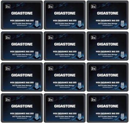 Gigastone 2TB NAS SSD Drive (12-Pack) 24/7 Durable TLC High Endurance RAID Data Storage Network Attached Storage 2.5" SATA Internal Solid State Hard Drives