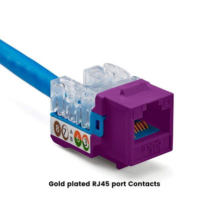 TRUE CABLE Cat6 Keystone Jack, Unshielded (UTP), 90 Degree Punch-Down, PoE++ (4PPoE) 100W, UL Listed, ETL Verified, ANSI/TIA Certified, Modular RJ45 Female, Purple, 12 Pack