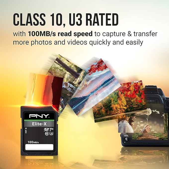 PNY 256GB Elite-X Class 10 U3 V30 SDXC Flash Memory Card - 100MB/s, Class 10, U3, V30, 4K UHD, Full HD, UHS-I, Full Size SD (Pack of 1)