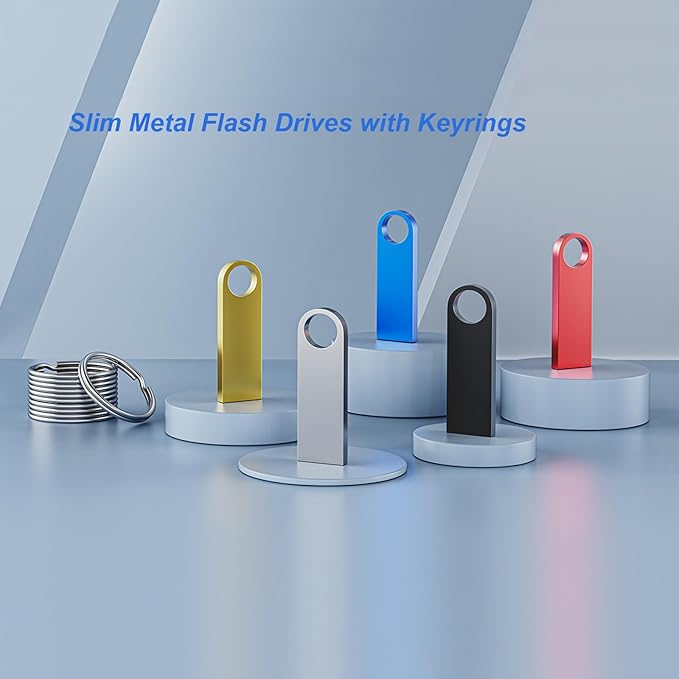 4GB USB Flash Drive 2 Pack with Keychains, Wooolken Sleek Metal USB 2.0 Thumb Drives Memory Stick for PC Laptop Computer