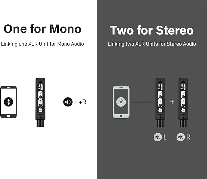 XLR Portable Bluetooth v5.1 Music Receiver, aptX HD aptX Low Latency AAC SBC TWS, Rechargeable Battery 10hrs Long Playtime, USB-C DAC for Mixing Console Desk, Audio Mixer, PA DJ System
