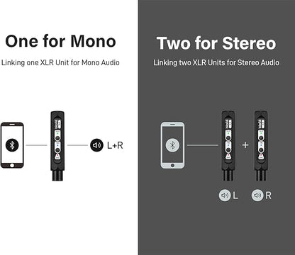 XLR Portable Bluetooth v5.1 Music Receiver, aptX HD aptX Low Latency AAC SBC TWS, Rechargeable Battery 10hrs Long Playtime, USB-C DAC for Mixing Console Desk, Audio Mixer, PA DJ System