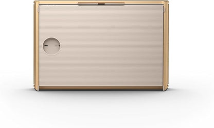 Bang & Olufsen Beosound Level Portable Wi-Fi Multiroom Speaker, Gold Tone/Light Oak