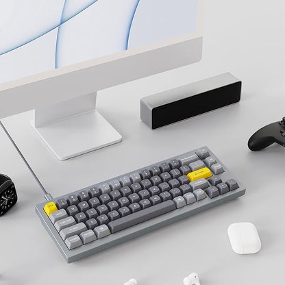 Keychron Q2 Wired Custom Mechanical Keyboard, QMK/VIA Programmable Macro, Full Aluminum, Hot-Swappable Gateron G Pro Brown Switch, 65% Layout Double Gasket Compatible with Mac and Windows - Grey