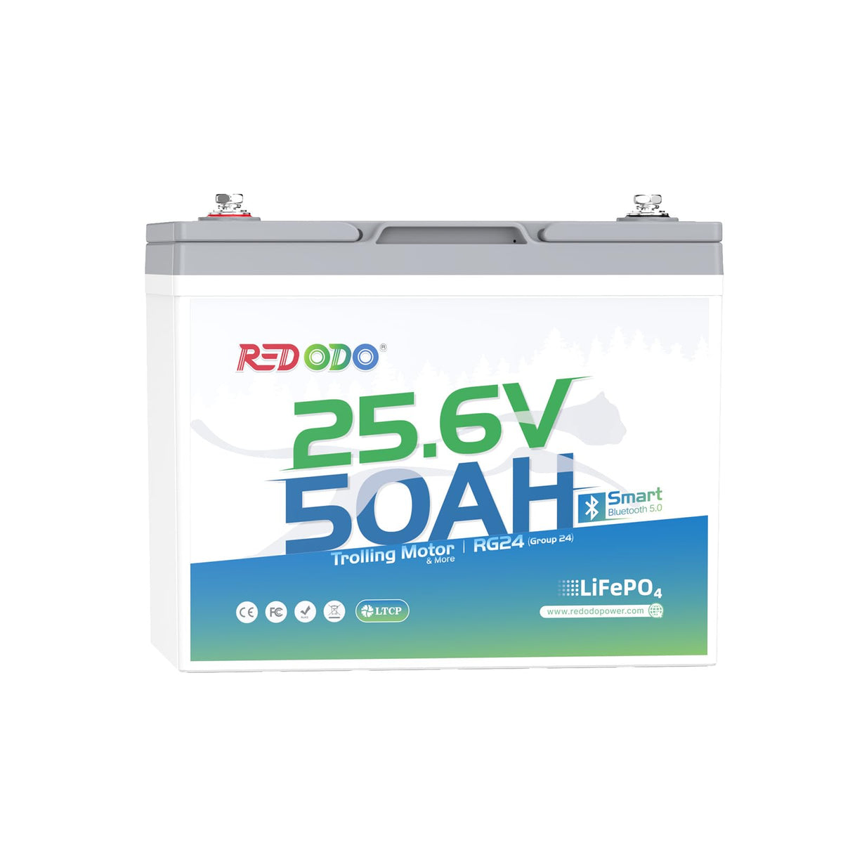Redodo 2-Pack 12V 200Ah LiFePO4 Battery, 200A BMS, for RV, Marine, Solar