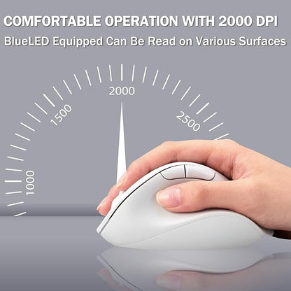 ELECOM Wireless Ergonomic Shape Mouse, 2.4GHz with Mini USB Receiver, Silent Click, Right Hand 2000DPI, 5 Buttons, Optocal Sensor, Compatible with PC, Mac, Laptop, EX-G, Lsize White (M-XGL30DBSKWH)