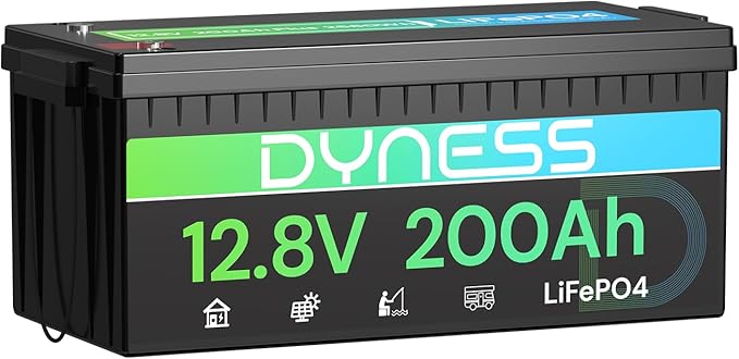Dyness 12V 200Ah PLUS LiFePO4 Battery, Max. 2560Wh Power, 12.8V LiFePO4 Battery Upgrade 200A BMS with Low-Temp Protection, 4000+ Deep Cycles 12V Lithium Battery Perfect for RV, Solar System, Off-Grid