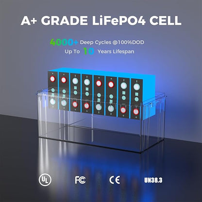 Dyness 12V 200Ah PLUS LiFePO4 Battery, Max. 2560Wh Power, 12.8V LiFePO4 Battery Upgrade 200A BMS with Low-Temp Protection, 4000+ Deep Cycles 12V Lithium Battery Perfect for RV, Solar System, Off-Grid