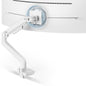 ARES WING Ultrawide Monitor Desk Arm for 17 to 49 Inch Screen, Holds 44 Lbs
