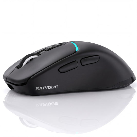 RAPIQUE Bluetooth Wireless Mouse, Dual Bluetooth + 2.4G, Black