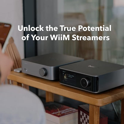 WiiM Vibelink Amp | 100W Power Amplifier with Premium ESS 9039Q2M DAC and TI TPA3255 | Compatible with WiiM Mini, Pro, Pro Plus, and Ultra | RCA, Coax, and Optical Inputs | Silver
