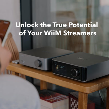 WiiM Vibelink Amp Stereo Amplifier for Passive Speaker Upgrade