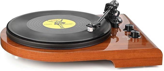 Vinyl Record Player with Bluetooth Input Output,Turntable with Built-in Preamp,USB Recording,Speed Adjustment,Counterweight and Moving Magnet Stylus,Upgraded Single-Platter Design (No Sub-Platter)