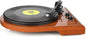Vinyl Record Player with Bluetooth Input Output,Turntable with Built-in Preamp,USB Recording,Speed Adjustment,Counterweight and Moving Magnet Stylus,Upgraded Single-Platter Design (No Sub-Platter)