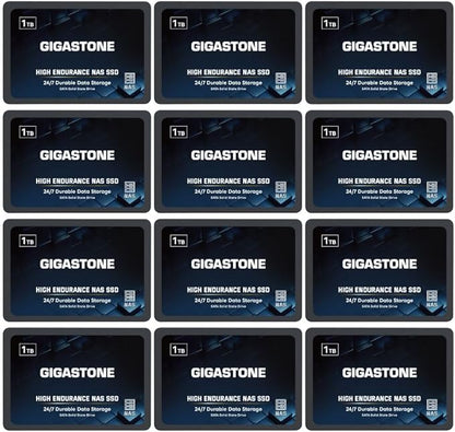 Gigastone 1TB NAS SSD Drive (12-Pack) 24/7 Durable TLC High Endurance RAID Data Storage Network Attached Storage 2.5" SATA Internal Solid State Hard Drives