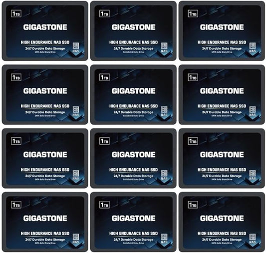 Gigastone 【NAS Certified】 1TB High Endurance SSD (12-Pack) Up to 550MB/s TLC Flash with SLC Caching 24/7 Reliable for Gaming/PC/NAS SSD 5-Year Warranty 2.5" SATA Internal Solid State Drives RAID Disk