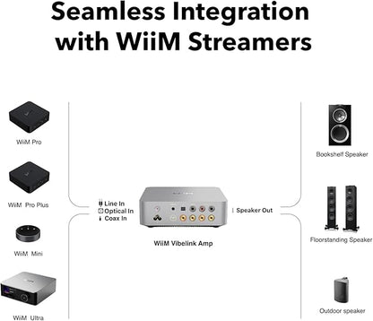 WiiM Vibelink Amp | 100W Power Amplifier with Premium ESS 9039Q2M DAC and TI TPA3255 | Compatible with WiiM Mini, Pro, Pro Plus, and Ultra | RCA, Coax, and Optical Inputs | Silver