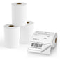 FungLam 100 Rolls 4x6 Direct Thermal Shipping Labels, 250 Labels Per Roll, 1" Core, Perforated, White Mailing Postage Shipping Label Compatible with Zebra 2844 ZP-450 ZP-500 ZP-505