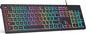 Wired Backlit Keyboard, Lighted Computer Keyboard with 8° Adjustable Stand, Ergonomic Design, Spill-Proof Keys, 5ft Cable, Compatible with Windows & Mac