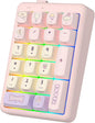 NumberPad,21Keys HotSwappable Numpad,Bluetooth5.0/2.4G/Type-C Wireless Numeric Keypad,Rechargeable Number keypad,RGB Gasket Structure Mechanical Keyboard with PBT Keycap for PC Laptop Notebook