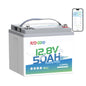 Redodo Smart Bluetooth 12V 50Ah LiFePO4 Lithium Battery for Trolling Motor, Low-Temp Protection, 10 Years Lifetime, Lightweight & Portable Perfect for RV, Solar, Boat Marine and Camping