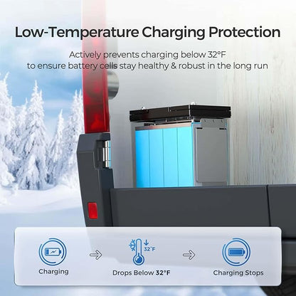 Renogy 2PCS 12V 100Ah Mini Size LiFePO4 Lithium Battery, 100A BMS for Ultimate Safety, Deep Cycle Remote Monitoring, Backup for RV, Cabin, Marine, 200ah LiFePO4 Lithium Battery - Core Series