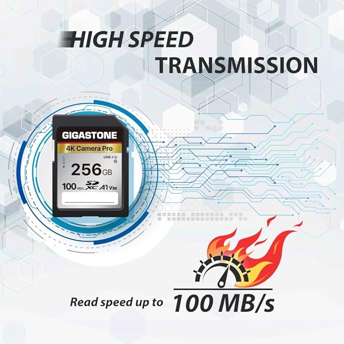 [5-Yrs Free Data Recovery] GIGASTONE 256GB 2-Pack SD Card, 4K Camera Pro, A1 V30 SDXC Memory Card 4K UHD Video Compatible with Canon Digital Camera, with 2 Mini Cases