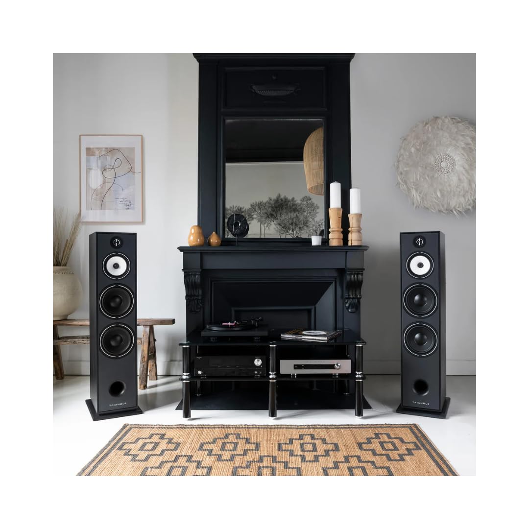 triangle Borea BR10 Tower Speaker (Each) – 3-Way Floorstanding Loudspeaker with Dual 8" Woofers, Deep Bass & Wide Soundstage – Premium Hi-Fi Audio – Black