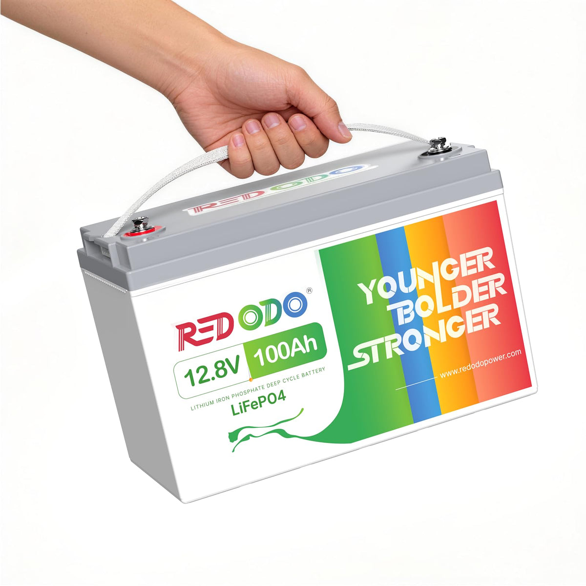 Redodo 12V 165Ah LiFePO4 Battery, Bluetooth, Group 31, for RV, Marine