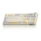SOLAKAKA KI99 Pro 96% Wireless Mechanical Keyboard, RGB Gaming Keyboard, Hot-Swappable Pre-Lubed Switches, Gasket Structure Creamy Keyboards (Gradient-Black, Non-Silent Version)