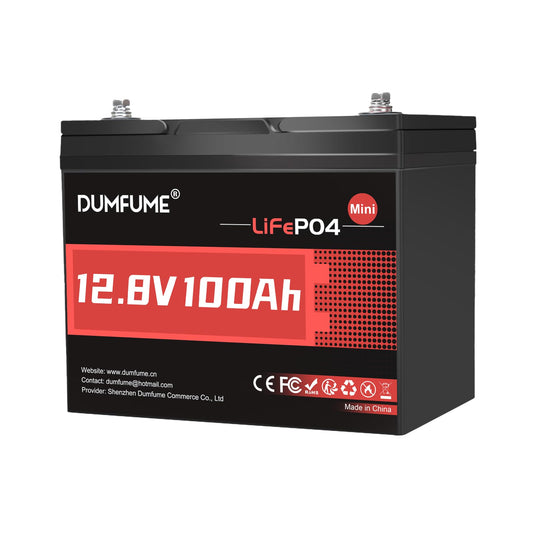 12V 100Ah Mini LiFePO4 Lithium Battery, Built-in 100A BMS,1280Wh Deep Cycle Rechargeable Battery 6000+ Cycles 10-Year Lifespan for RV, Solar, Off-Grid and Home Energy Storage