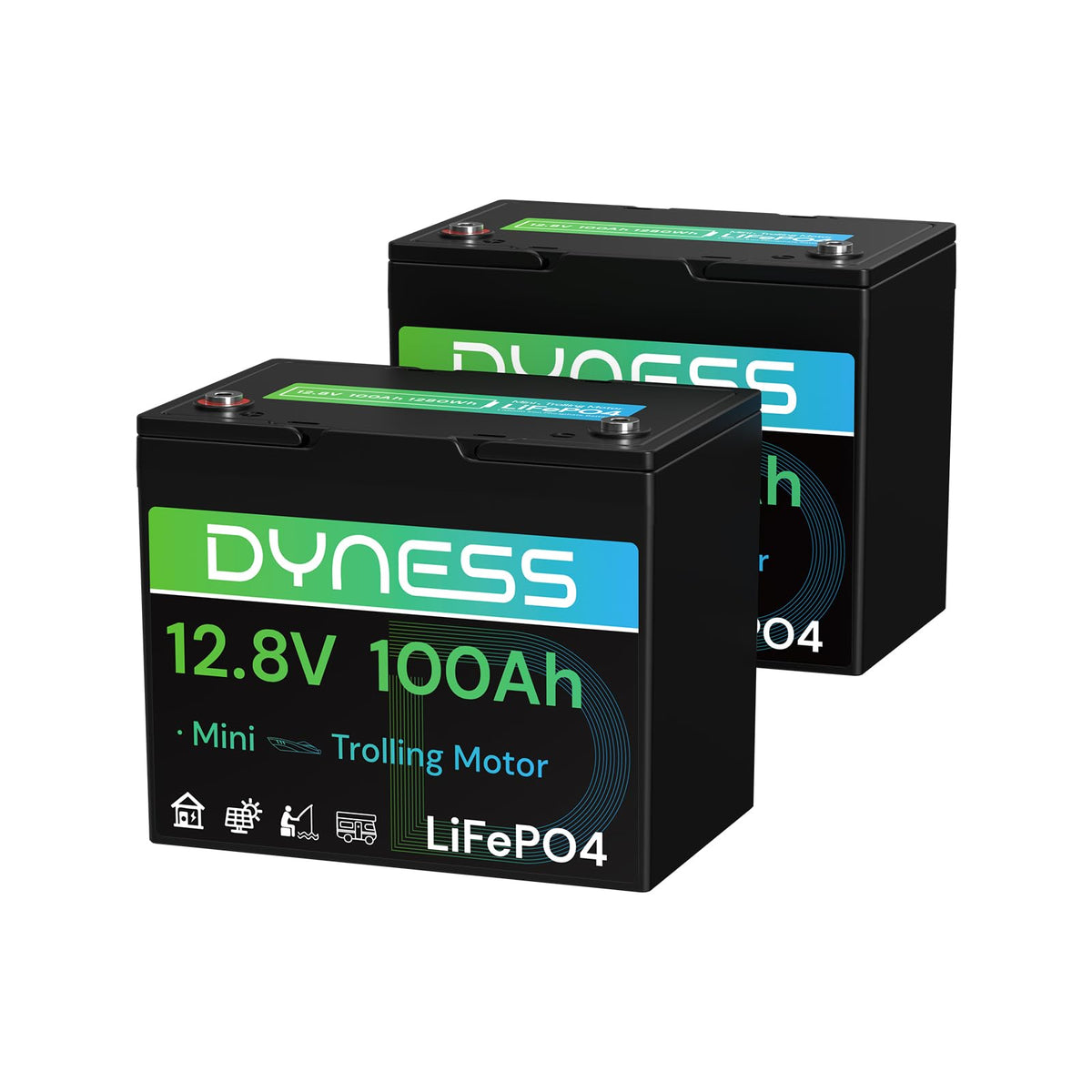 Dyness 12V 100Ah Mini LiFePO4 Battery 2 Pack Group 24, 12 Volt Deep Cycle Lithium Battery with 100A BMS, Low-Temp Protection & 10 Years Lifespan for RV, Boat, Trolling Motor, Solar Off-Grid