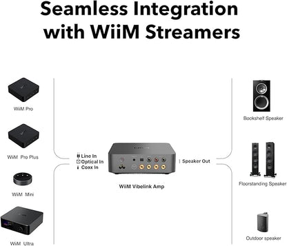 WiiM Vibelink Amp | 100W Power Amplifier with Premium ESS 9039Q2M DAC and TI TPA3255 | Compatible with WiiM Mini, Pro, Pro Plus, and Ultra | RCA, Coax, and Optical Inputs | Space Gray