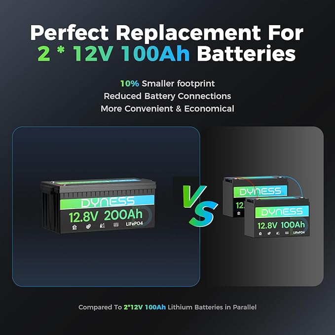 Dyness 12V 200Ah PLUS LiFePO4 Battery, Max. 2560Wh Power, 12.8V LiFePO4 Battery Upgrade 200A BMS with Low-Temp Protection, 4000+ Deep Cycles 12V Lithium Battery Perfect for RV, Solar System, Off-Grid