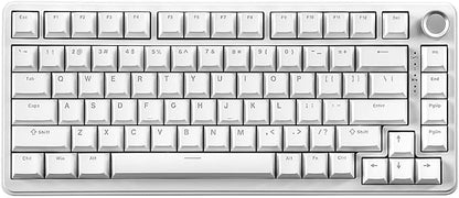 YUNZII B75 Mechanical Keyboard,75% Layout with Knob,Hot Swappable RGB Backlit Gasket Mounted, Creamy Typing, Double-Shot PBT Keycaps,Cherry Profile,for Win/Mac (White, Blue Grey Tactile Switch)