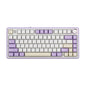 EPOMAKER x Aula F75 Gasket Mechanical Keyboard, 75% Wireless Hot Swappable Gaming Keyboard with Five-Layer Padding&Knob, BT/2.4GHz/USB-C, RGB (Purple, LEOBOG Reaper Switch)