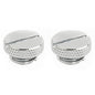 Dracaena 2 Pack G1/4" Thread, Thin Water Stop Plug Fitting with Coin Slot for Computer Water Cooling System, Durable Brass/Copper Material, Silver