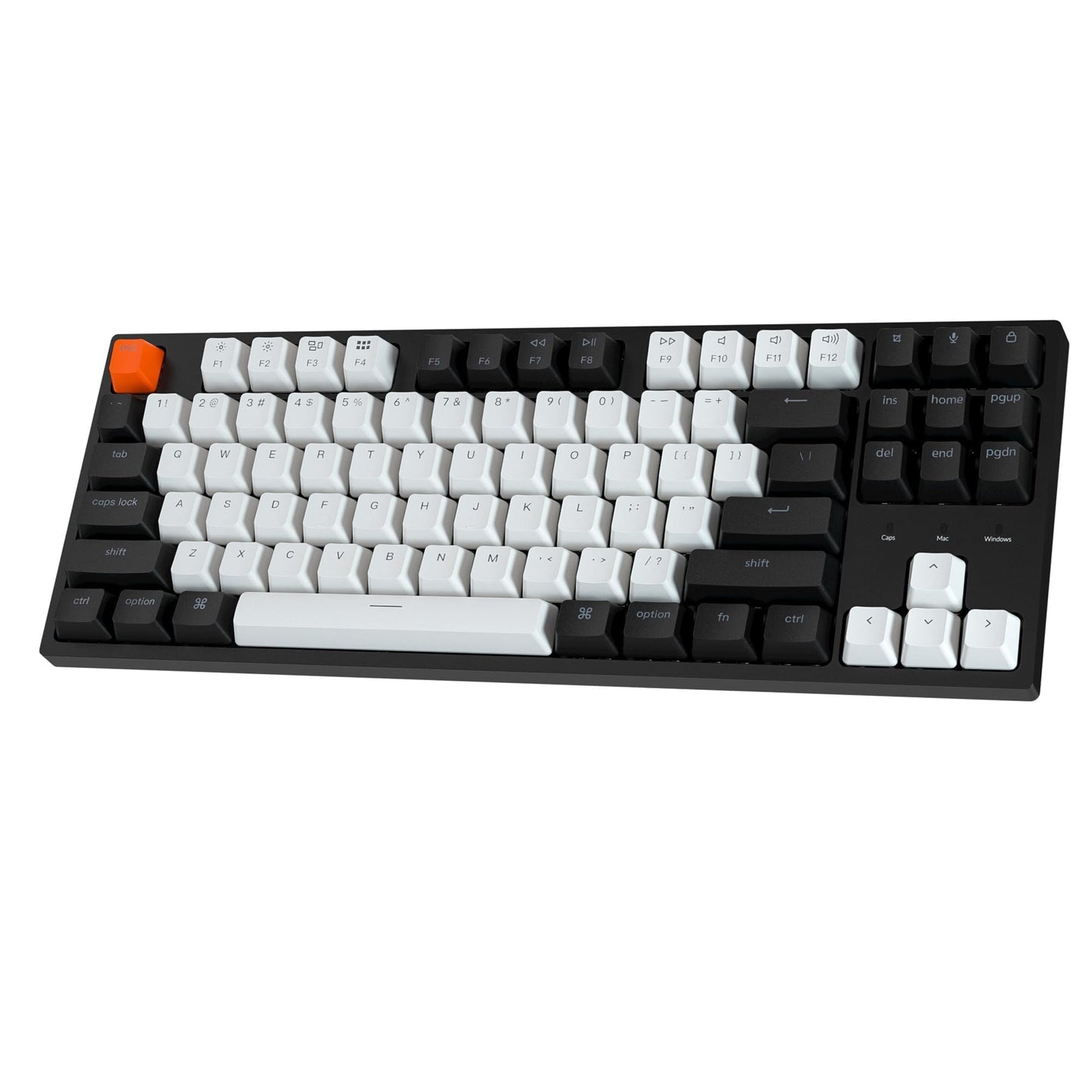 Keychron C1 Wired Mechanical Keyboard TKL, RGB Backlit with Double-Shot ABS Keycaps, 87 Keys Hot-Swappable Pre-lubed Tactile Switch Compatible with Mac Windows