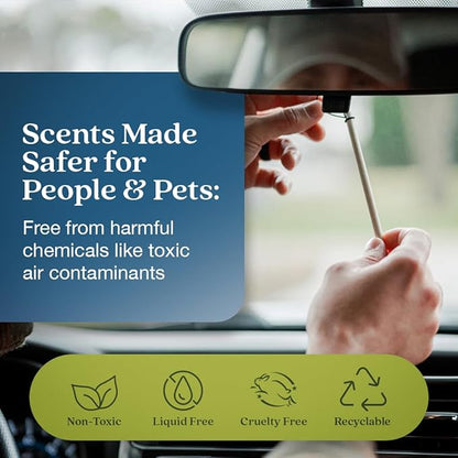 Enviroscent Non-Toxic Car Air Freshener (Coastal Storm & Teakwood) Natural Car Air Freshener | Essential Oil Diffuser | Car Scent Lasting Over 180 Days | 3 Packs of 2 Hanging Auto Stix