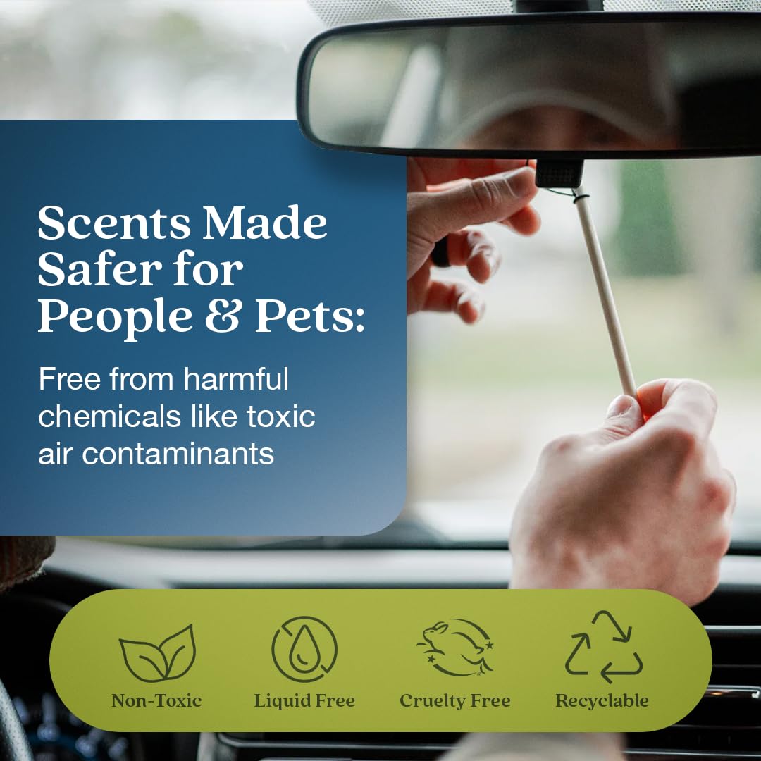 Enviroscent Non-Toxic* Car Air Freshener Auto Stix® (6 Sticks, Pack of 3)