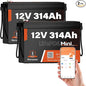 2 PCS Bluetooth 12V 314Ah LiFePO4 Lithium Battery MINI, Max. 4190Wh Energy, EV A+ Cells, Built-in 100A BMS, 15000 Deep Cycles Battery with Low-Temp Protection for RVs, Solar System, Off-Grid
