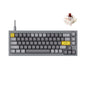 Keychron Q2 Wired Custom Mechanical Keyboard, QMK/VIA Programmable Macro, Full Aluminum, Hot-Swappable Gateron G Pro Red Switch, 65% Layout Double Gasket Compatible with Mac and Windows - Blue
