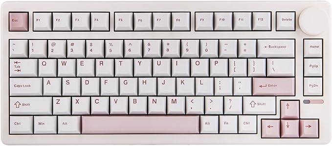 EPOMAKER QK81 75% Wireless Mechanical Gaming Keyboard, QMK/VIA Programmable and Hot-Swappable, 81 Keys with Metal Knob, 2.4Ghz/BT/USB, Creamy Gasket-Mount, RGB Backlight (White, Wisteria Switch)