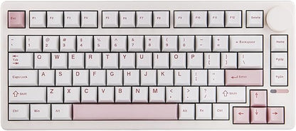 EPOMAKER QK81 75% Wireless Mechanical Gaming Keyboard, QMK/VIA Programmable and Hot-Swappable, 81 Keys with Metal Knob, 2.4Ghz/BT/USB, Creamy Gasket-Mount, RGB Backlight (White, Wisteria Switch)
