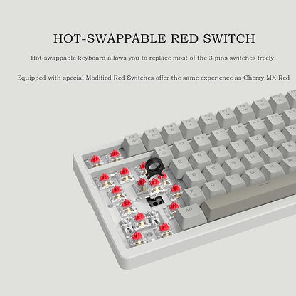 FIRSTBLOOD ONLY GAME. AK992 Retro Wired Mechanical Keyboard, 98 Keys Full Layout, Hot-Swappable USB Gaming Keyboard with Red Switches, Multimedia Keys Knob, Blue Backlit, Anti-Ghosting, Grey