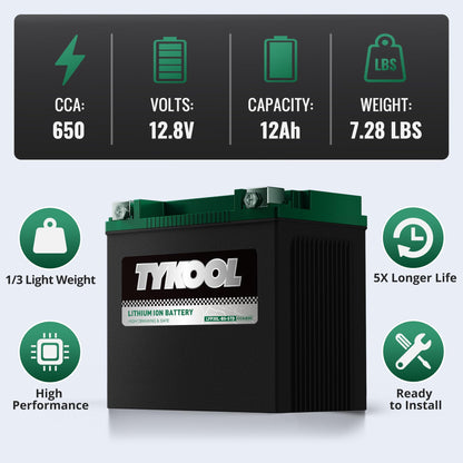 TYKOOL LFP30L-BS-STD Lithium Battery, Replaces YTX30L-BS, 650CCA 12Ah Fits for Motorcycle UTV ATV PWC, Compatible with Harley Touring Road King Moto Guzzi 1000cc Polaris Ranger RZR 800,Digital Readout